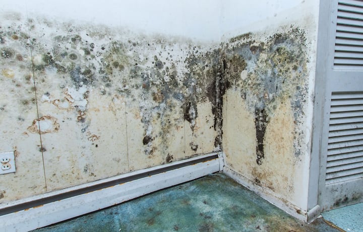 residential mold removal Roseville